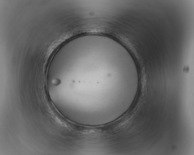 X0000116130721200912141109