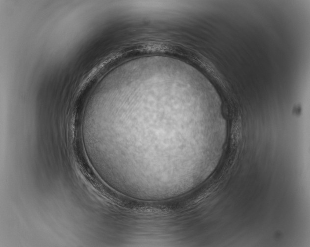 X0000116130722200912141109