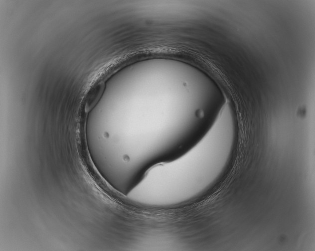 X0000116130725200912141109