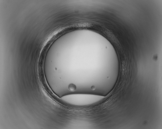 X0000116130726200912141109