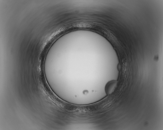 X0000116130727200912141109