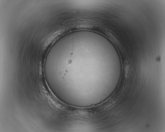 X0000116130729200912141109