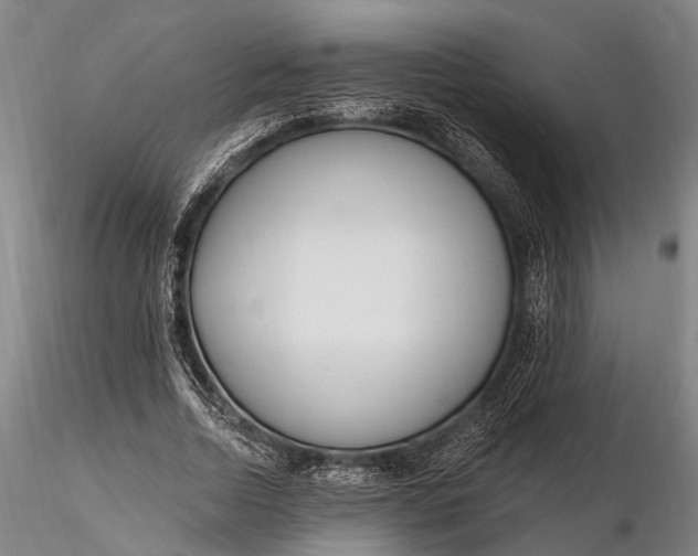 X0000116130730200912141109