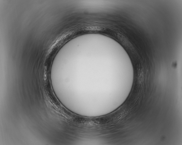 X0000116130731200912141109