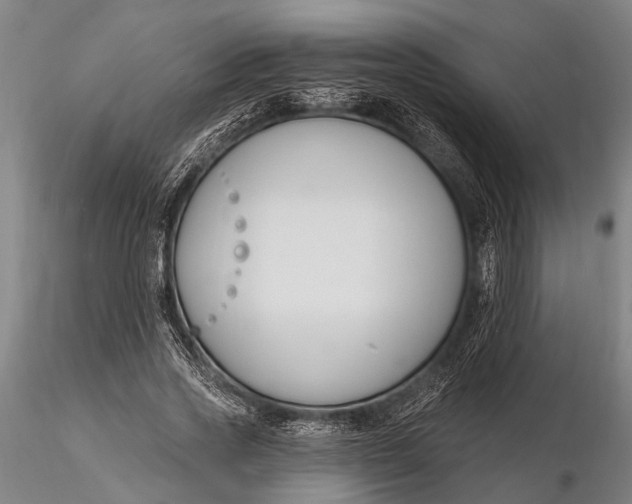 X0000116130733200912141109