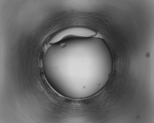 X0000116130735200912141109