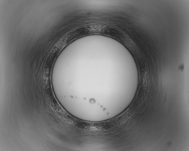 X0000116130737200912141109