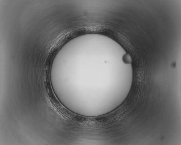 X0000116130738200912141109