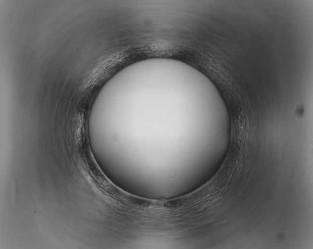 X0000116130742200912141109