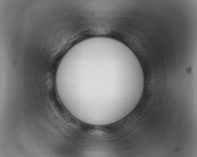 X0000116130743200912141109