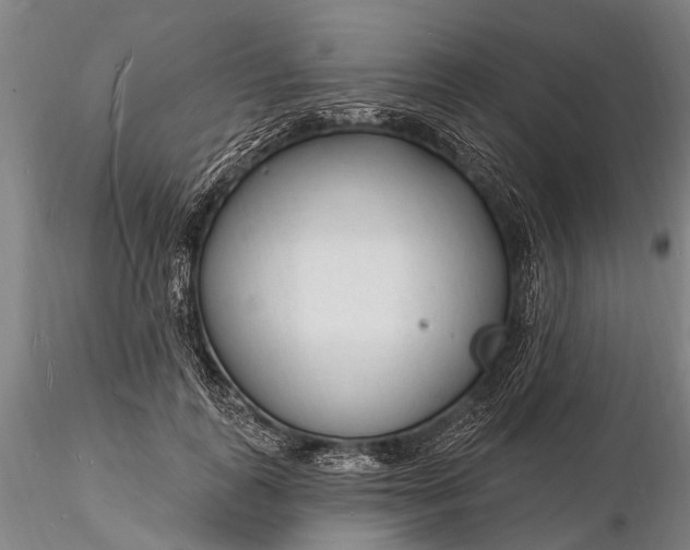 X0000116130747200912141109