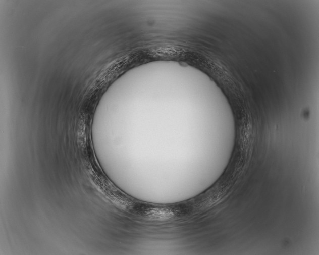 X0000116130749200912141109