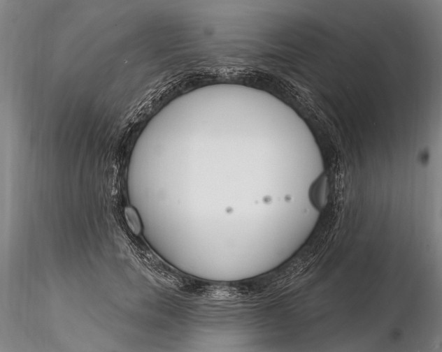 X0000116130750200912141109