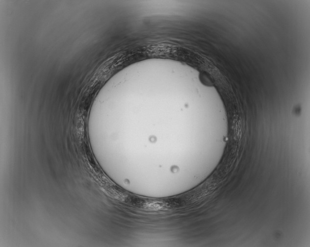 X0000116130753200912141109