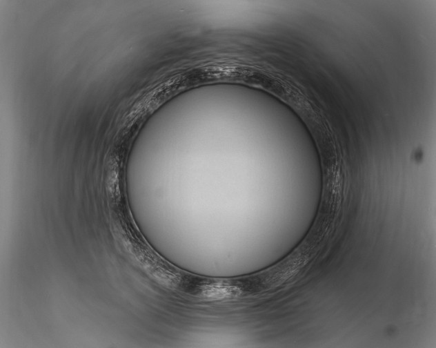 X0000116130754200912141109