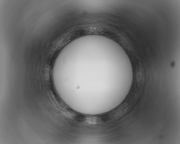 X0000116130757200912141109