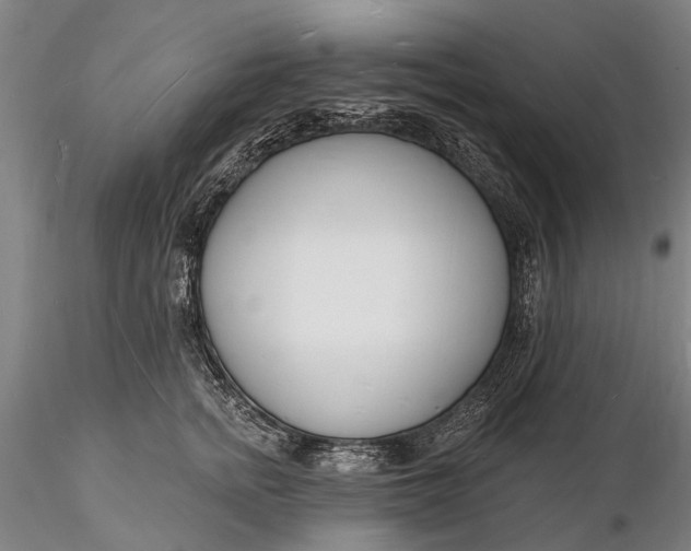 X0000116130758200912141109