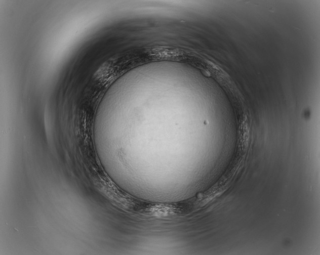 X0000116130762200912141109