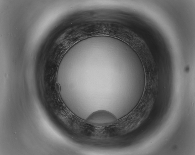 X0000116130766200912141109