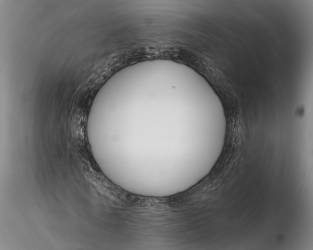 X0000116130770200912141109