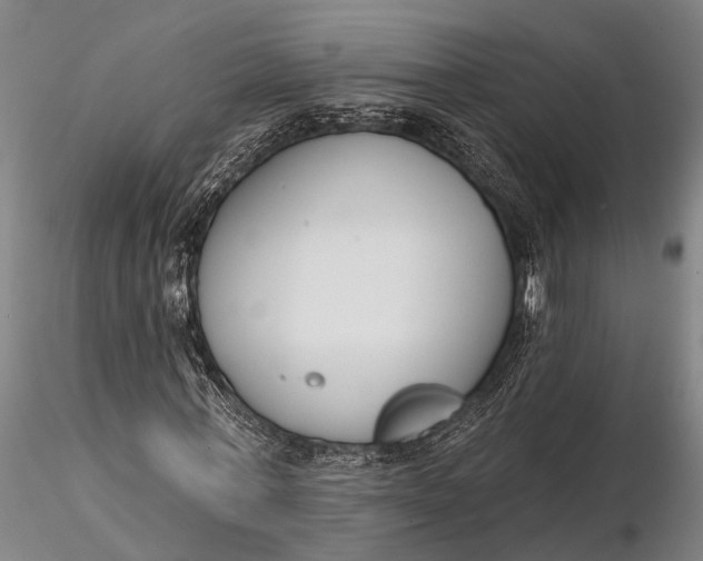 X0000116130771200912141109