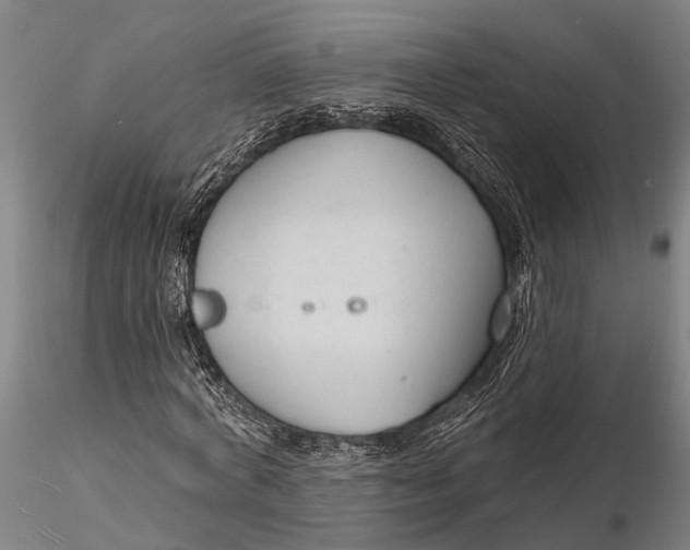 X0000116130772200912141109