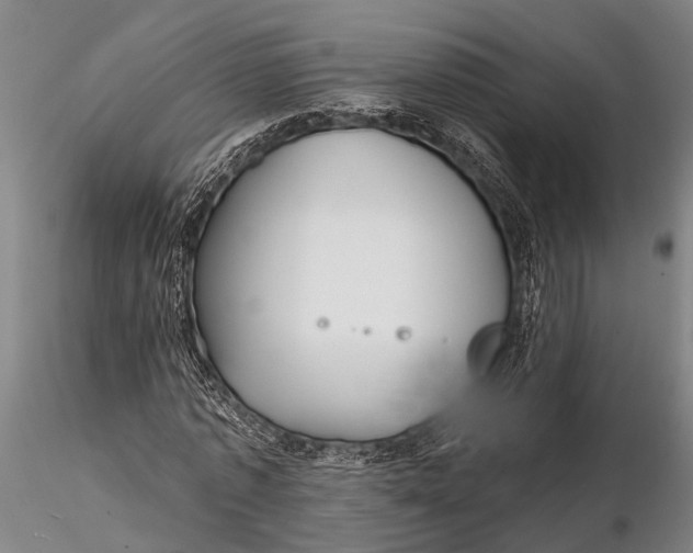 X0000116130773200912141109