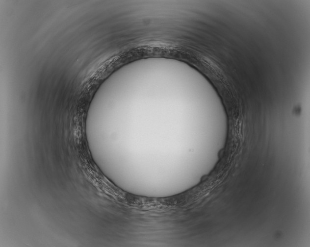 X0000116130774200912141108