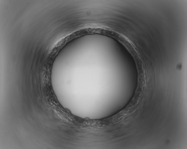X0000116130775200912141108