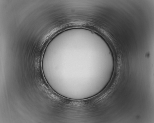 X0000116130778200912141108