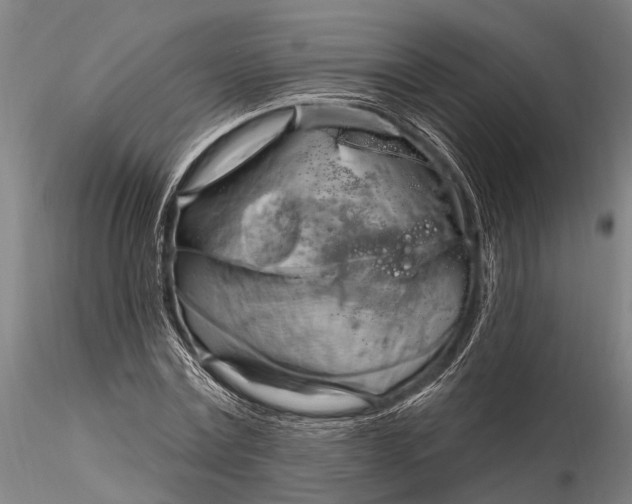 X0000116130779200912141108