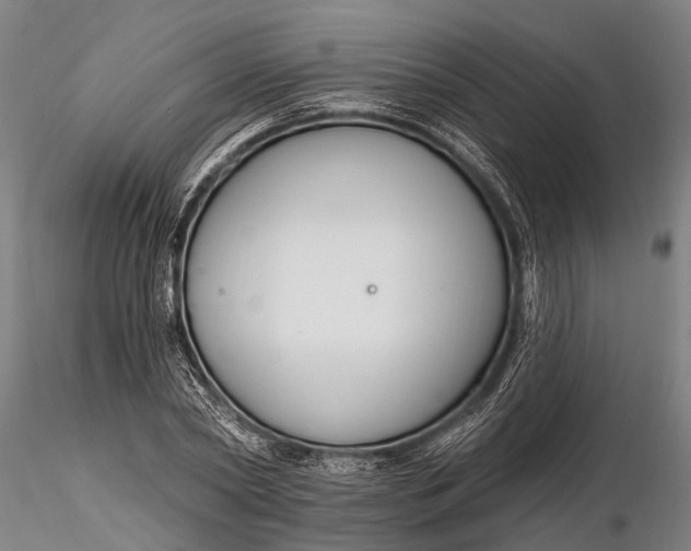 X0000116130782200912141108