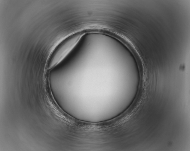 X0000116130783200912141108