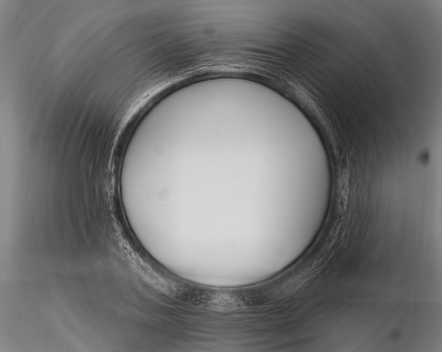 X0000116130787200912141108