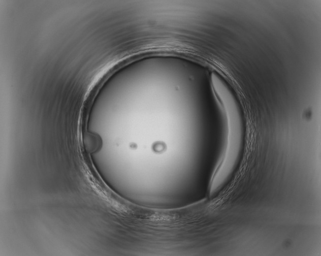 X0000116130788200912141108