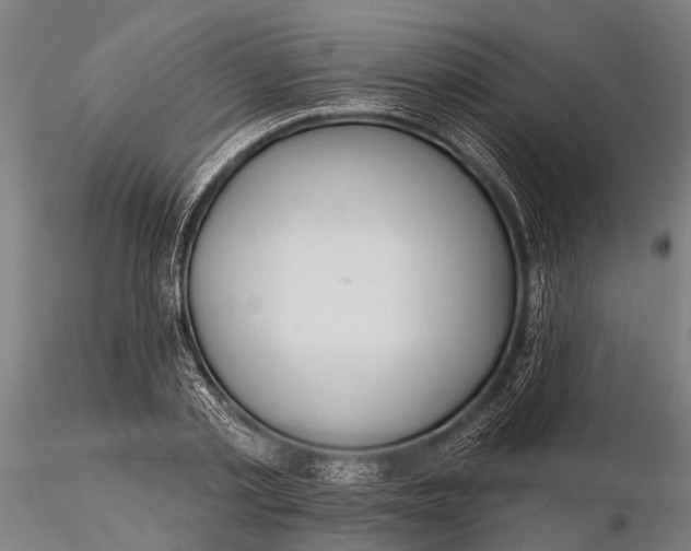 X0000116130789200912141108
