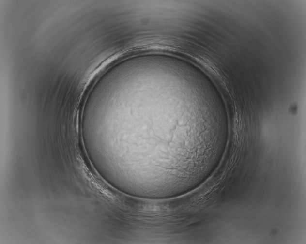 X0000116130790200912141108