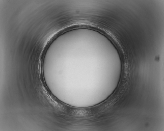 X0000116130791200912141108