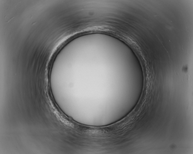 X0000116130792200912141108