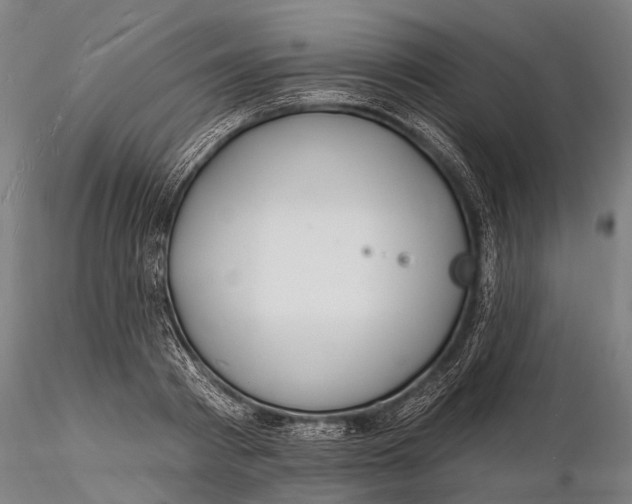 X0000116130793200912141108