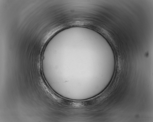 X0000116130794200912141108