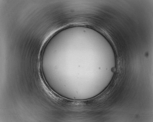 X0000116130795200912141108