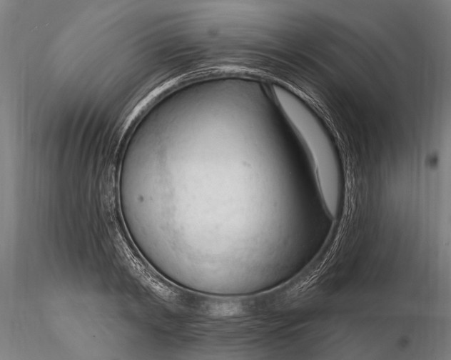 X0000116130798200912141108