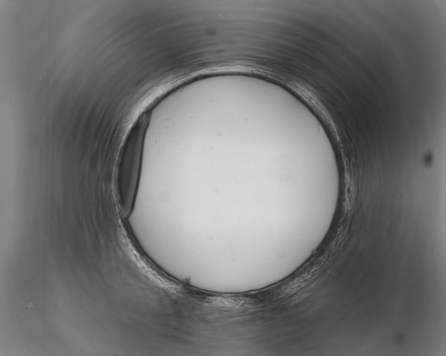 X0000116130805200912141108