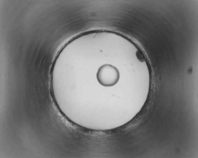 X0000116130807200912141108
