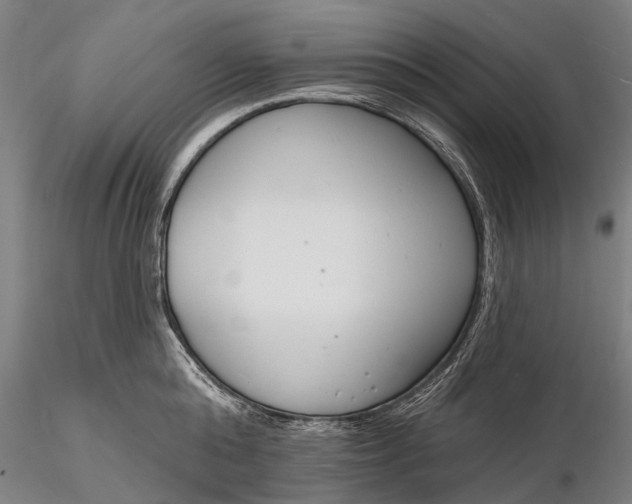 X0000116130808200912141108