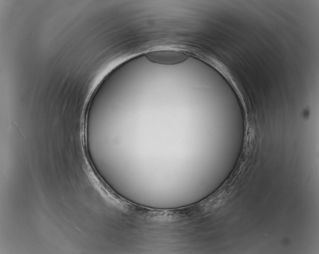 X0000116130811200912141108