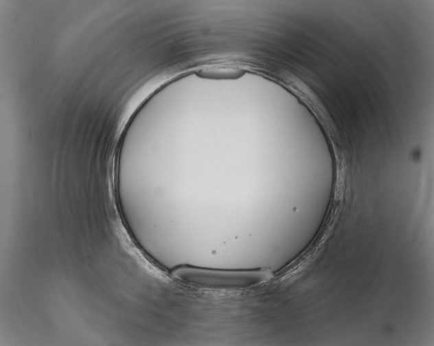 X0000116130812200912141108