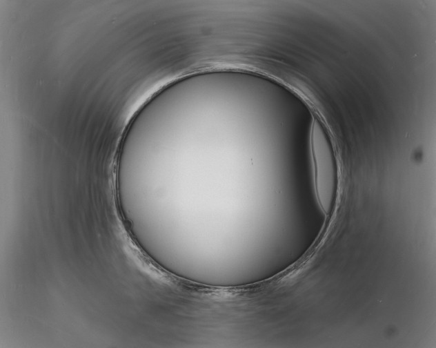X0000116130814200912141108