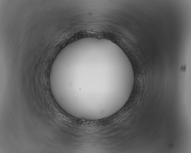 X0000116130817200912141107